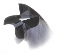Фрезерные головки C41-F/C/R, 4-зубые